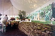 Tent Interior