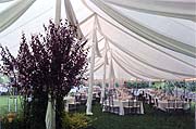 Tent Interior