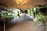 Tent Rentals