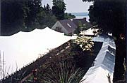 Tent Rentals